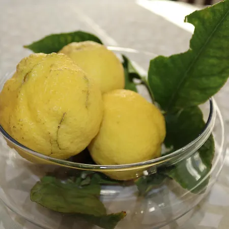 塞蒂纳公寓 公寓 *